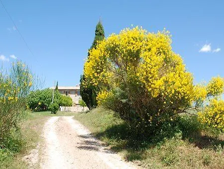 Montecchio * Semproniano